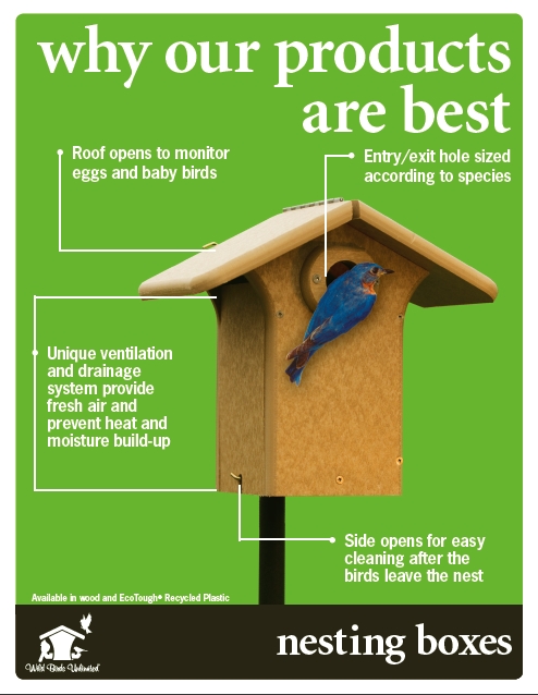 bird house design hole size